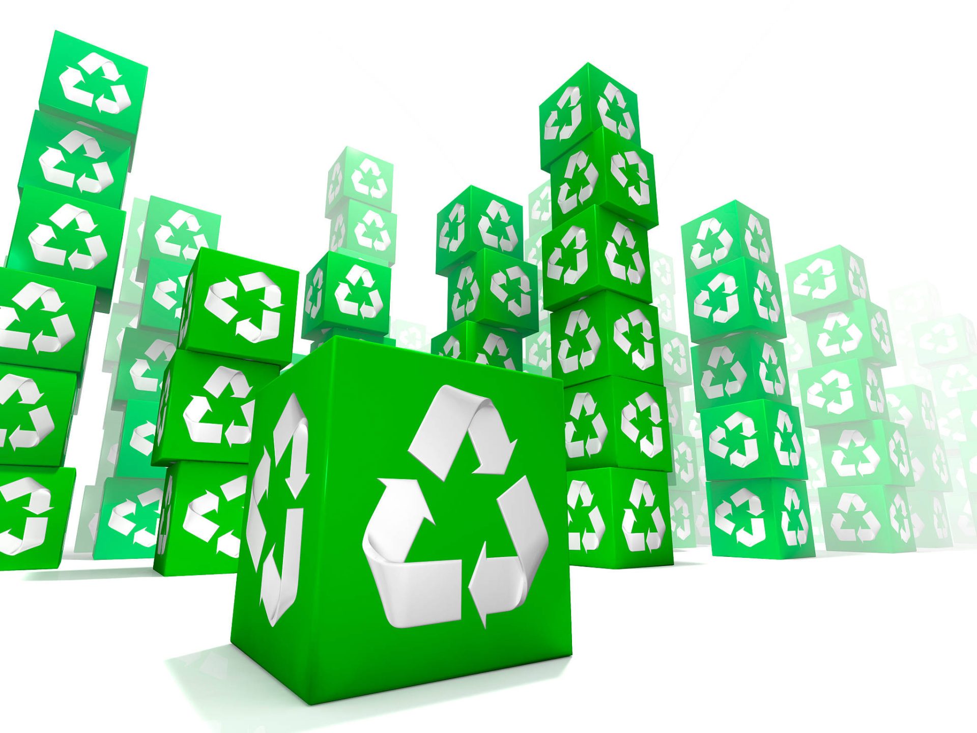 How Do You Move From Green Packaging to Real Sustainability? — Shenzhen Tianyi Shengtang Printing Co., Ltd.