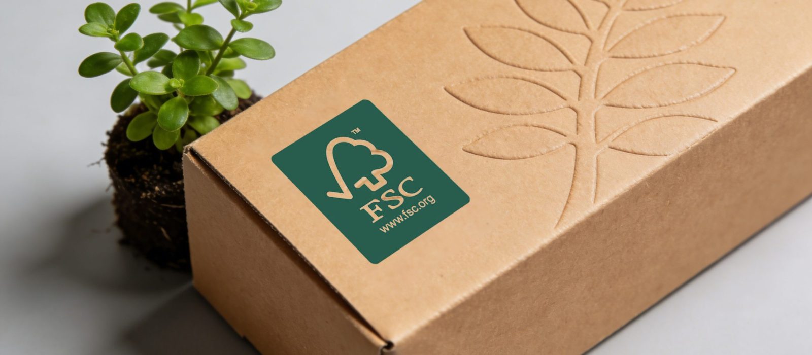 FSC Paper vs Recycled Paper: Which Sustainable Material Should You Choose?