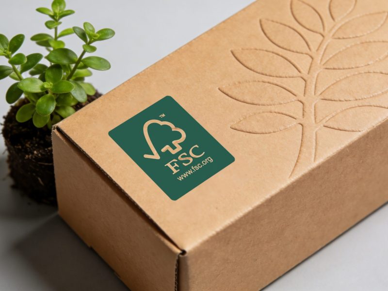 FSC Paper vs Recycled Paper: Which Sustainable Material Should You Choose?